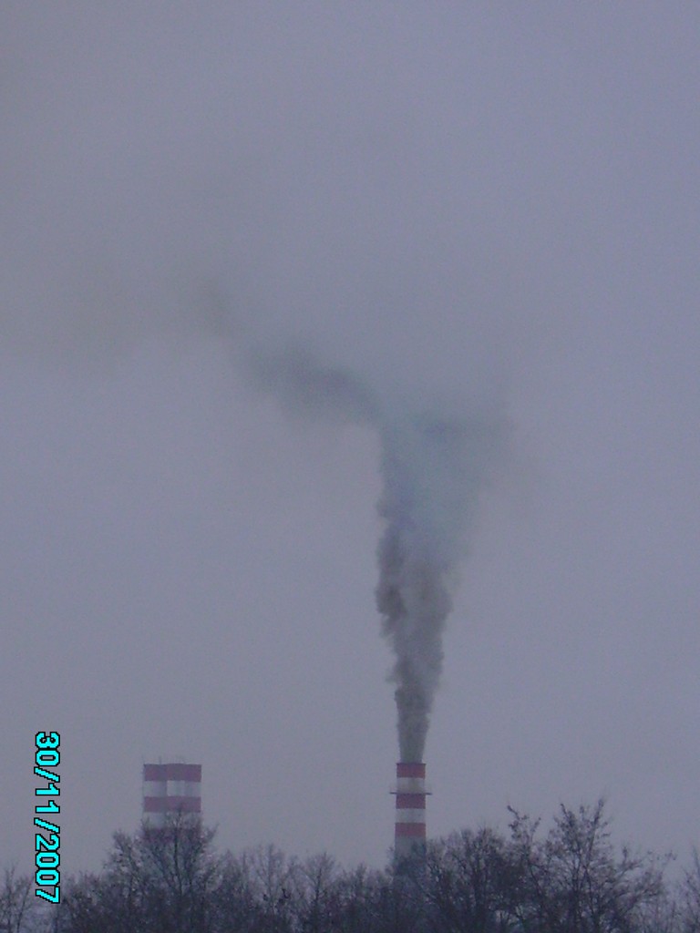 PICT0799.JPG