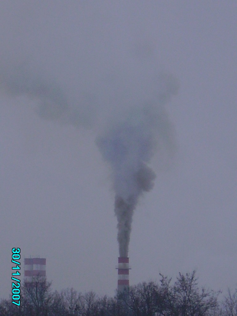 PICT0800.JPG
